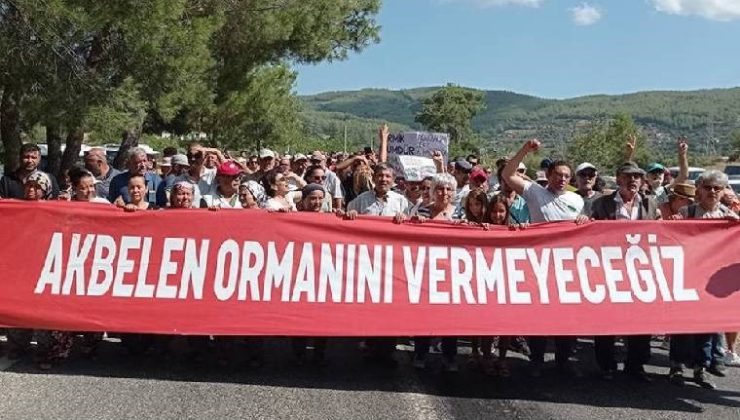 Katliama direniyorlar: İktidarın gözde şirketlerinin Akbelen’deki kıyımına karşı ekoloji örgütleri eylem yaptı