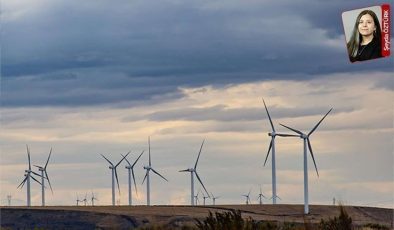 Türkiye genelinde yenilenebilir enerjiye ilgi arttı, yanlış seçilen yerler doğayı yok etti: